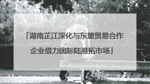 湖南芷江深化与东盟贸易合作 企业借力国际陆港拓市场