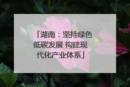 湖南：坚持绿色低碳发展 构建现代化产业体系