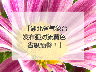 湖北省气象台发布强对流黄色省级预警！