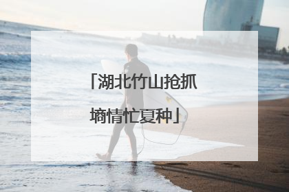 湖北竹山抢抓墒情忙夏种