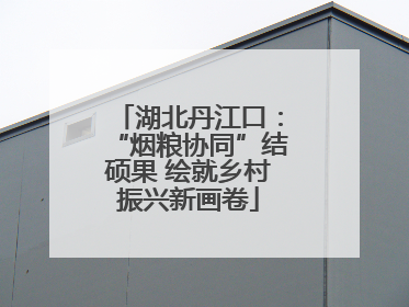 湖北丹江口：“烟粮协同”结硕果 绘就乡村振兴新画卷