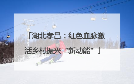 湖北孝昌：红色血脉激活乡村振兴“新动能”
