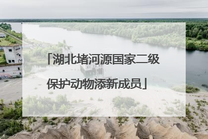 湖北堵河源国家二级保护动物添新成员