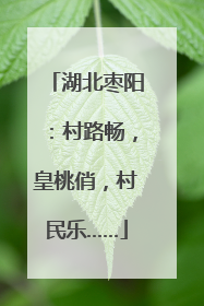 湖北枣阳：村路畅，皇桃俏，村民乐……