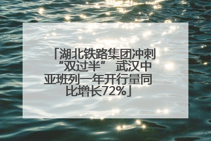 湖北铁路集团冲刺“双过半” 武汉中亚班列一年开行量同比增长72%