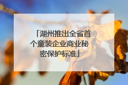 湖州推出全省首个童装企业商业秘密保护标准