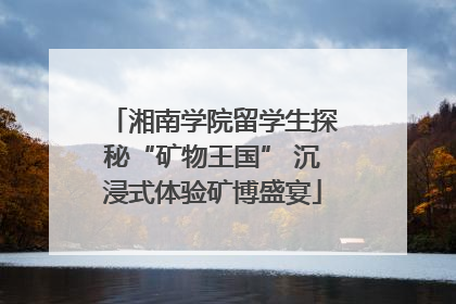 湘南学院留学生探秘“矿物王国” 沉浸式体验矿博盛宴