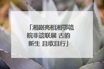 湘剧亮相湘鄂赣皖非遗联展 古韵新生 且歌且行