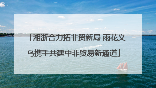 湘浙合力拓非贸新局 雨花义乌携手共建中非贸易新通道