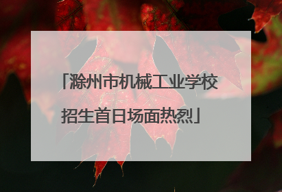 滁州市机械工业学校招生首日场面热烈