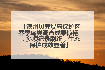滨州贝壳堤岛保护区春季鸟类调查成果惊艳：多项纪录刷新，生态保护成效显著