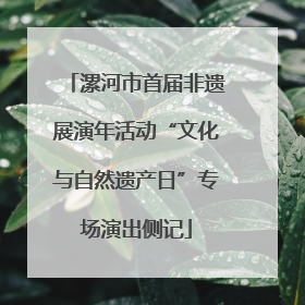 漯河市首届非遗展演年活动“文化与自然遗产日”专场演出侧记
