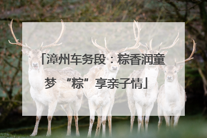 漳州车务段：粽香润童梦 “粽”享亲子情