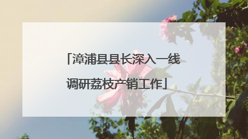 漳浦县县长深入一线调研荔枝产销工作