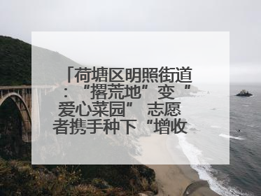 荷塘区明照街道：“撂荒地”变“爱心菜园” 志愿者携手种下“增收希望”