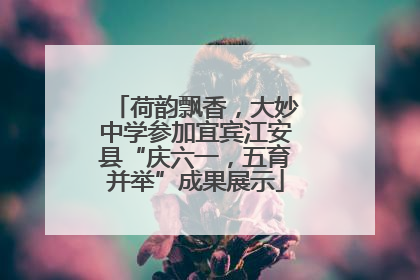 荷韵飘香，大妙中学参加宜宾江安县“庆六一，五育并举”成果展示