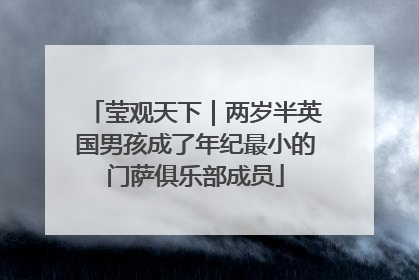 莹观天下｜两岁半英国男孩成了年纪最小的门萨俱乐部成员