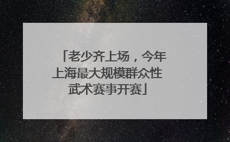 老少齐上场，今年上海最大规模群众性武术赛事开赛