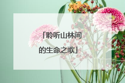 聆听山林间的生命之歌