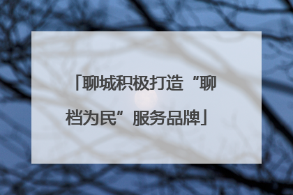 聊城积极打造“聊档为民”服务品牌