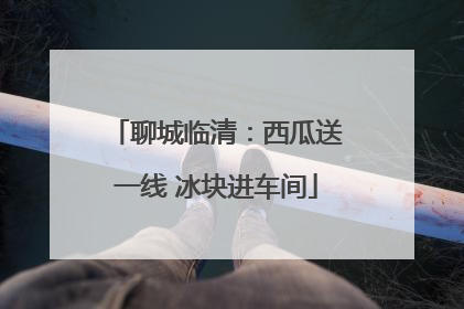 聊城临清：西瓜送一线 冰块进车间