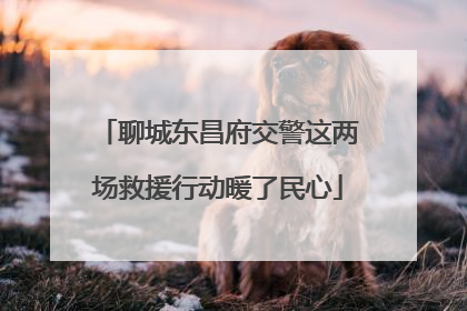 聊城东昌府交警这两场救援行动暖了民心