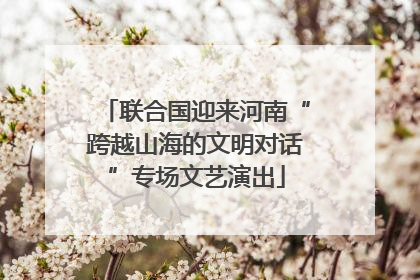 联合国迎来河南“跨越山海的文明对话”专场文艺演出