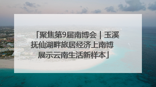 聚焦第9届南博会｜玉溪抚仙湖畔旅居经济上南博 展示云南生活新样本