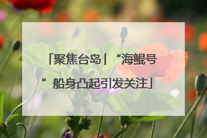 聚焦台岛│“海鲲号”船身凸起引发关注