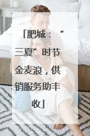 肥城：“三夏”时节金麦浪，供销服务助丰收