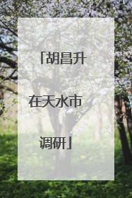 胡昌升在天水市调研