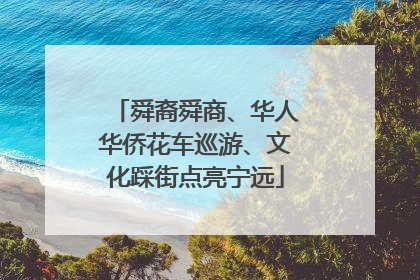 舜裔舜商、华人华侨花车巡游、文化踩街点亮宁远