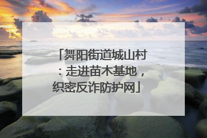 舞阳街道城山村：走进苗木基地，织密反诈防护网
