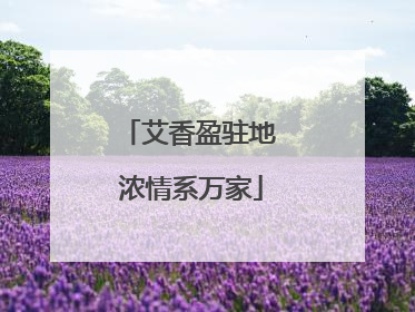 艾香盈驻地 浓情系万家