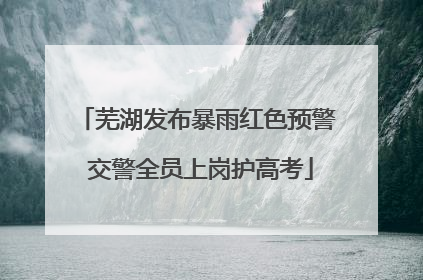 芜湖发布暴雨红色预警 交警全员上岗护高考