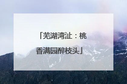 芜湖湾沚：桃香满园醉枝头