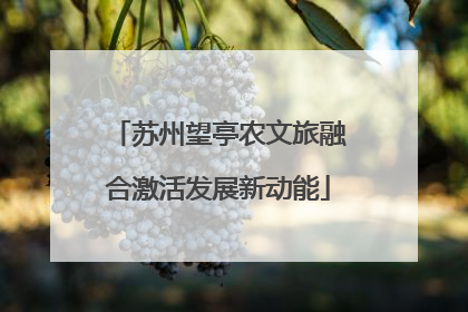 苏州望亭农文旅融合激活发展新动能