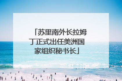 苏里南外长拉姆丁正式出任美洲国家组织秘书长
