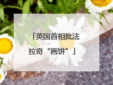 英国首相批法拉奇“画饼”