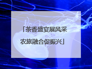 茶香盛宴展风采 农旅融合促振兴