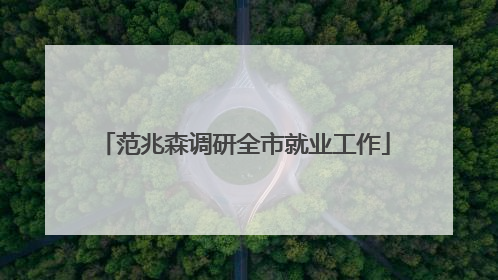 范兆森调研全市就业工作