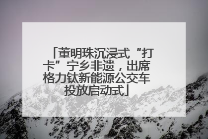 董明珠沉浸式“打卡”宁乡非遗，出席格力钛新能源公交车投放启动式