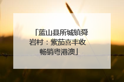 蓝山县所城镇舜岩村：紫茄喜丰收 畅销粤港澳