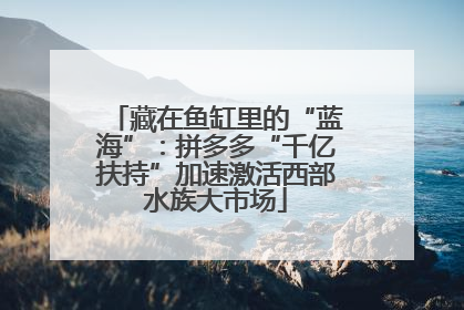 藏在鱼缸里的“蓝海”：拼多多“千亿扶持”加速激活西部水族大市场