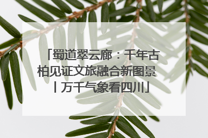 蜀道翠云廊：千年古柏见证文旅融合新图景丨万千气象看四川