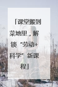 课堂搬到菜地里，解锁“劳动+科学”新课程