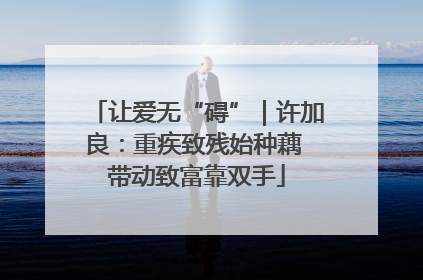 让爱无“碍”｜许加良：重疾致残始种藕 带动致富靠双手