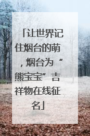 让世界记住烟台的萌，烟台为“熊宝宝”吉祥物在线征名