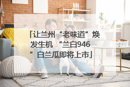 让兰州“老味道”焕发生机 “兰白946”白兰瓜即将上市