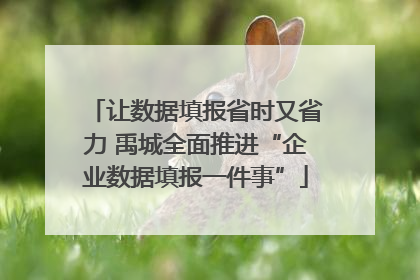 让数据填报省时又省力 禹城全面推进“企业数据填报一件事”